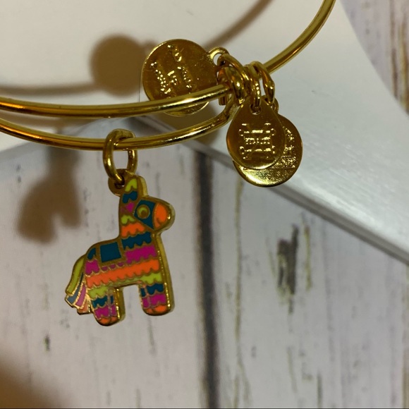 Alex and Ani Jewelry - Alex and ani piñata bangle